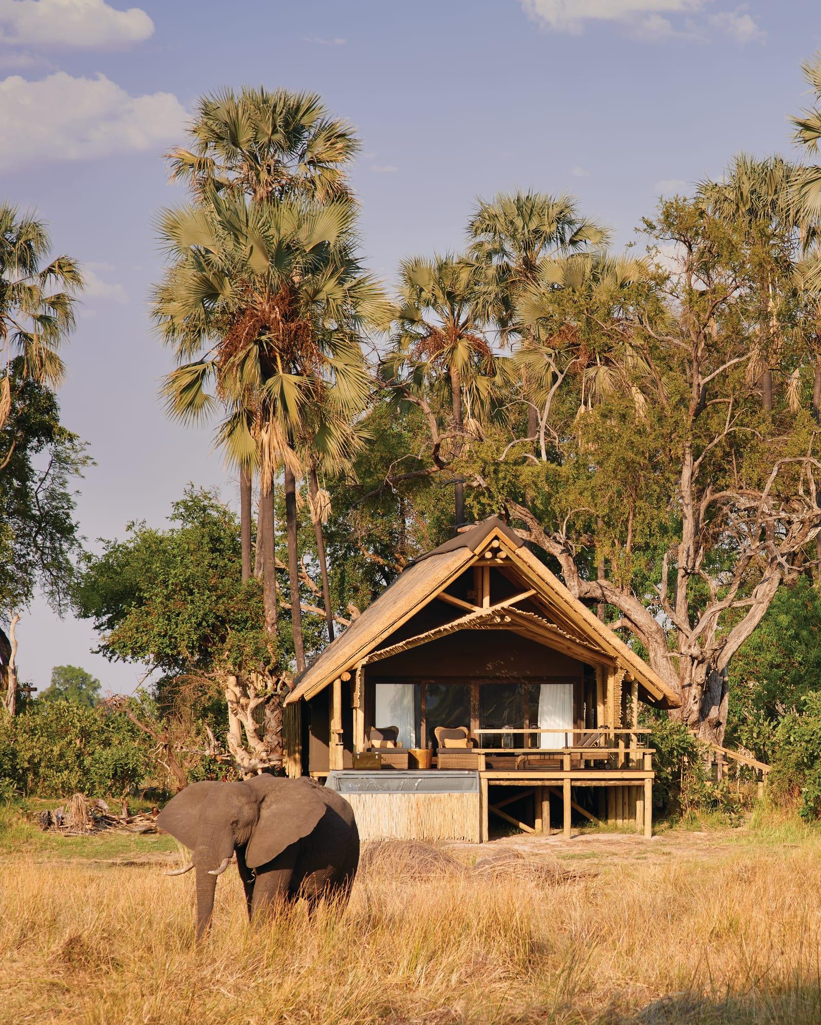 Belmond Safaris Hotel Maun Eksteriør billede
